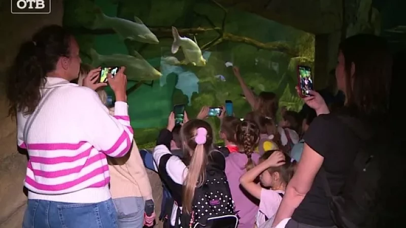 Лучшие классы проекта «Верный отличник» посетили екатеринбургский Океанариум