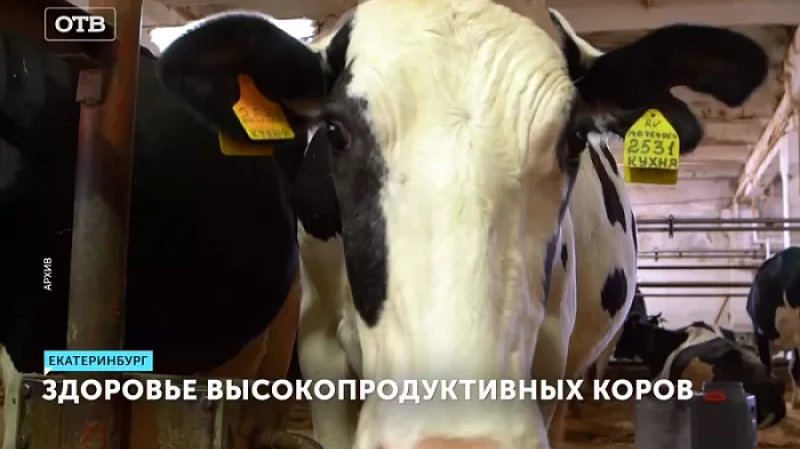 50 представителей сельскохозяйственных предприятий приняли участие в обучающем семинаре