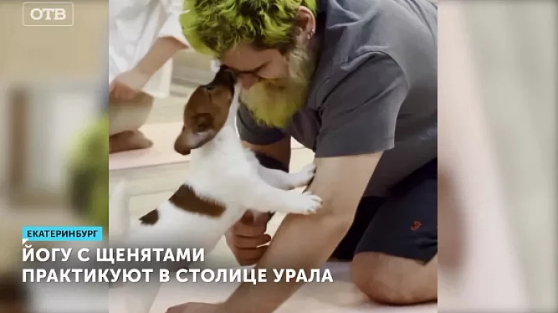 Йогу с щенятами практикуют в столице Урала