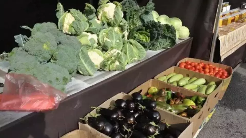 Овощи и белый чай – защитники от рака: мнение врачей