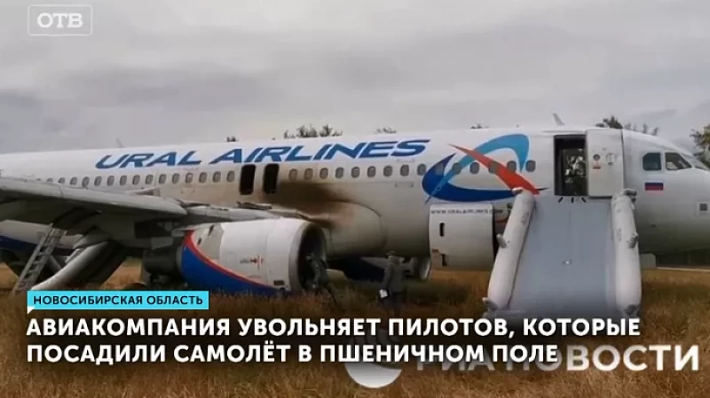 Авиакомпания увольняет пилотов, которые посадили самолёт в пшеничном поле