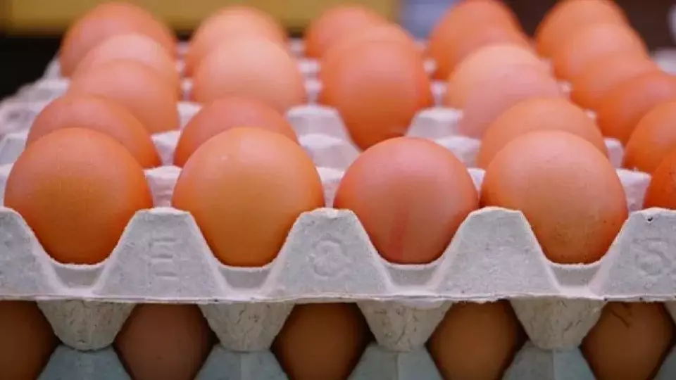 Екатеринбургские магазины подняли цены на яйца до рекордных 104 рублей