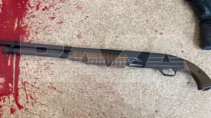 Стрельба в школе Брянска: двое погибли, пятеро пострадали