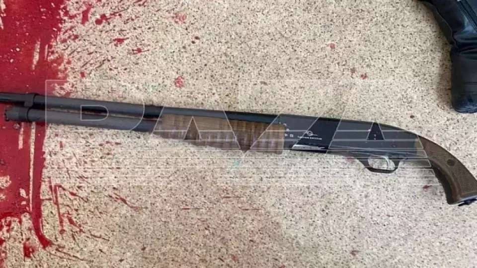 Стрельба в школе Брянска: двое погибли, пятеро пострадали