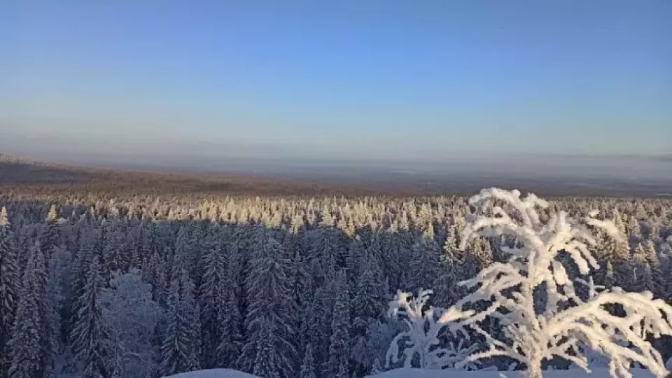 В Свердловской области мороз достиг -39 градусов