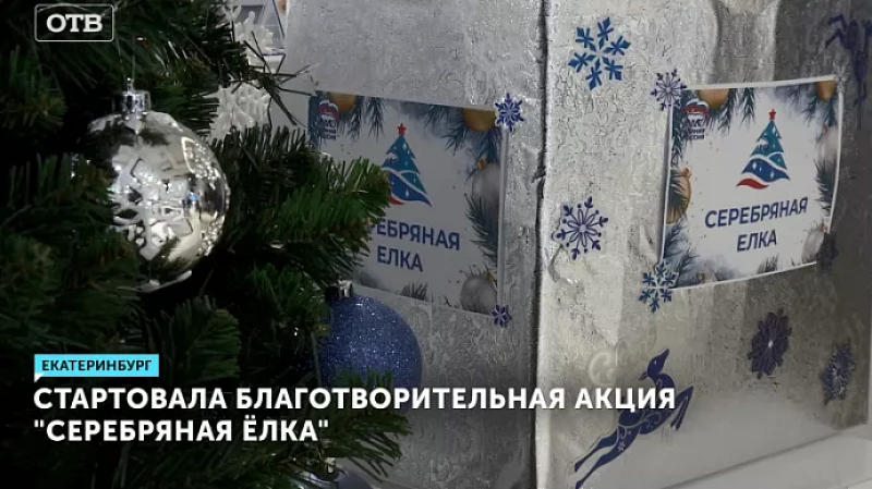 Стартовала благотворительная акция «Серебряная ёлка»
