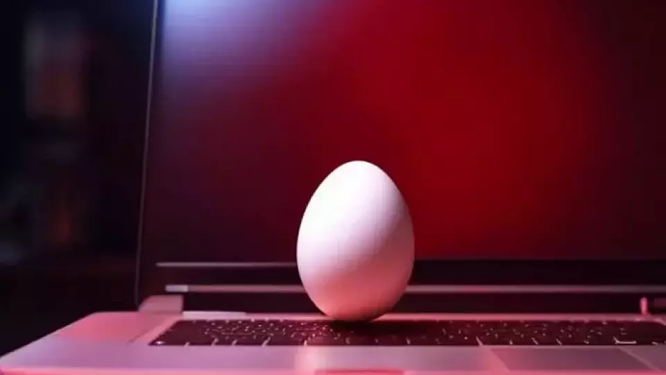 Жители Свердловской области смогут протестировать новую пользовательскую платформу видеоконтента