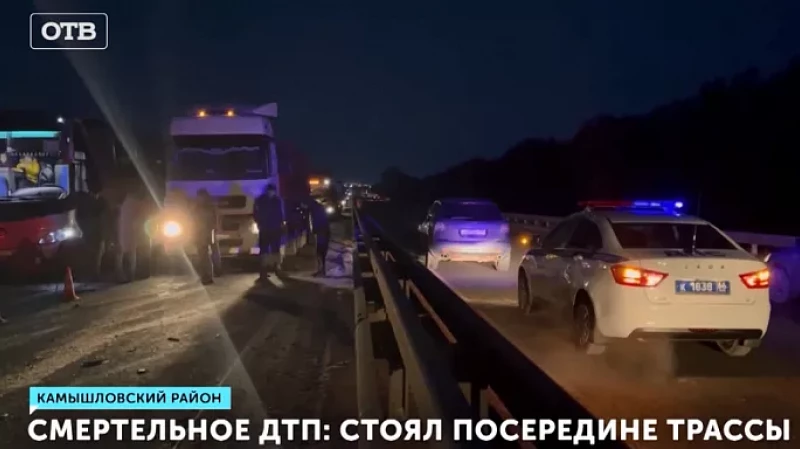 Смертельное ДТП: стоял посередине трассы