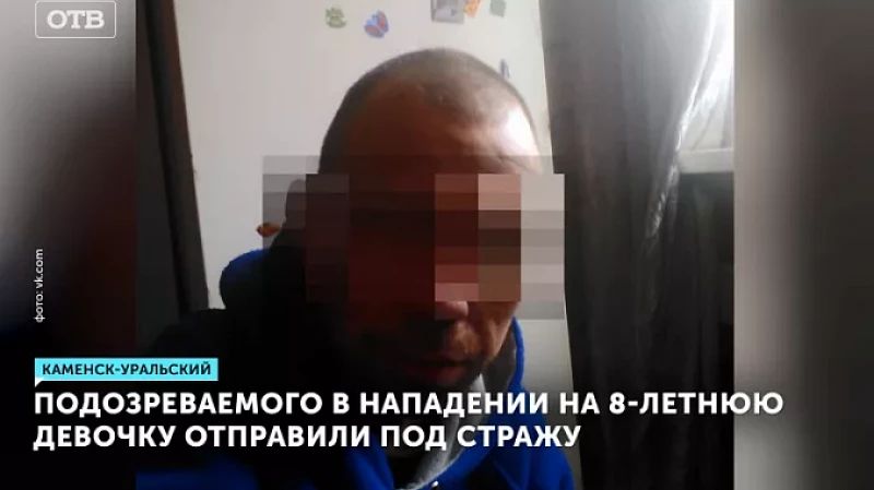 Подозреваемого в нападении на 8-летнюю девочку отправили под стражу