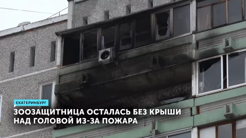 Зоозащитница осталась без крыши над головой из-за пожара