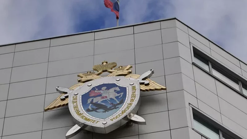 Бастрыкин запросил отчет о ходе расследования смерти малышки в Лесном