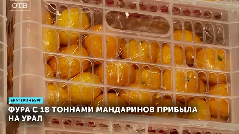 Фура с 18 тоннами мандаринов прибыла на Урал