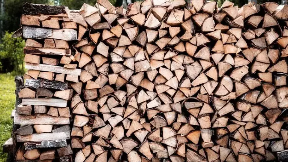 Как заготовить дрова на зиму и не сесть в тюрьму
