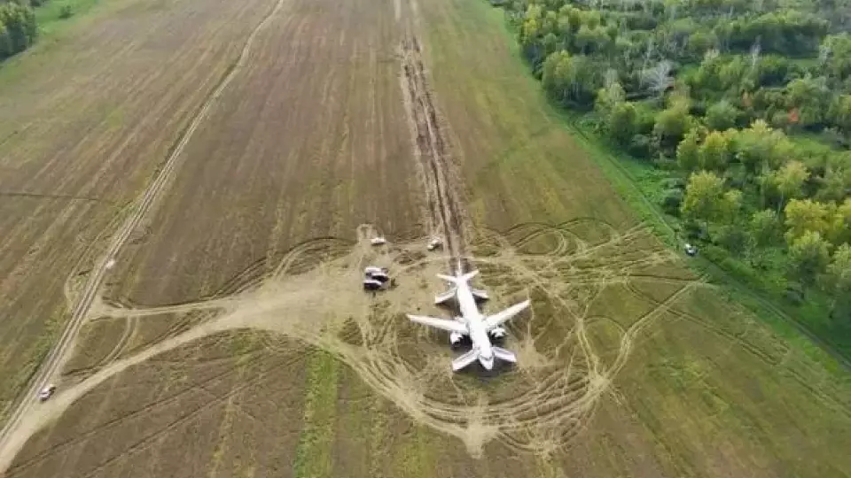 Ситуацию с посадкой самолета «Уральских авиалиний» в пшеничном поле будут расследовать дальше