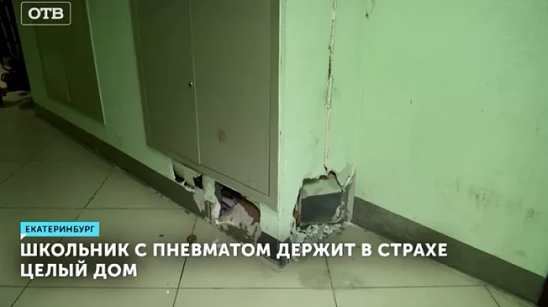Школьник с пневматом держит в страхе целый дом