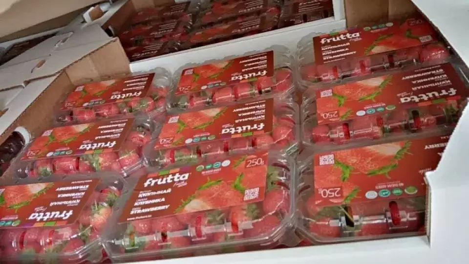 Уральские таможенники не пустили в регион 1,5 тонны ягоды