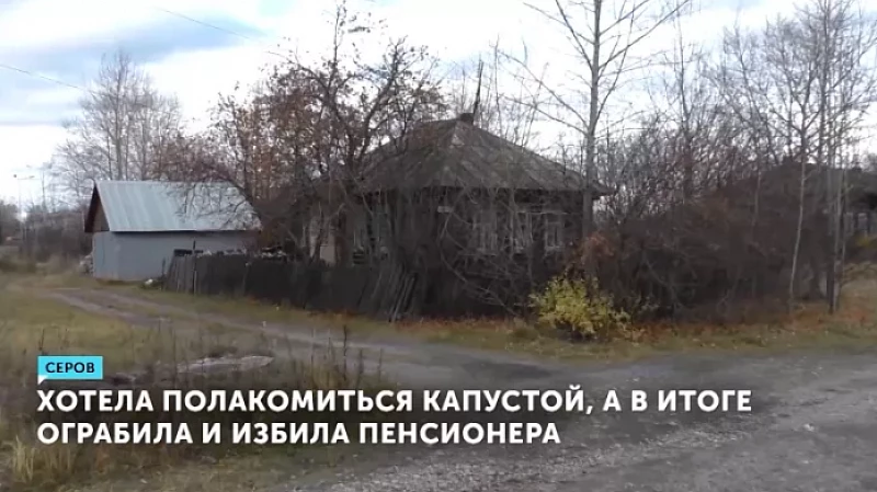 Хотела полакомиться капустой, а в итоге ограбила и избила пенсионера