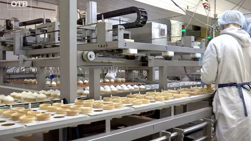 Сладкий вкус победы: «Верный отличник» подарил десятиклассникам из Полевского экскурсию на Хладокомбинат