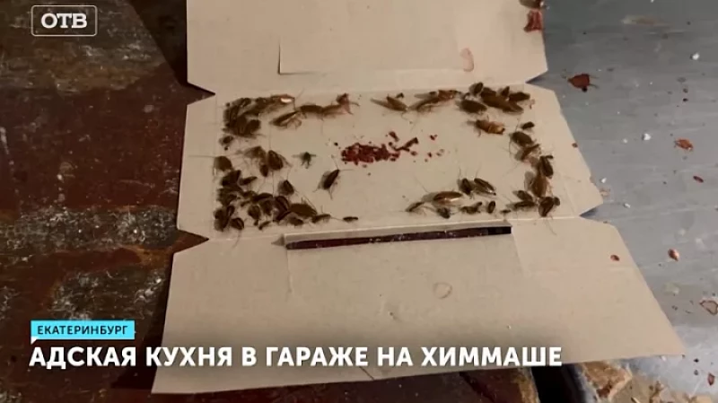 Адская кухня в гараже на Химмаше