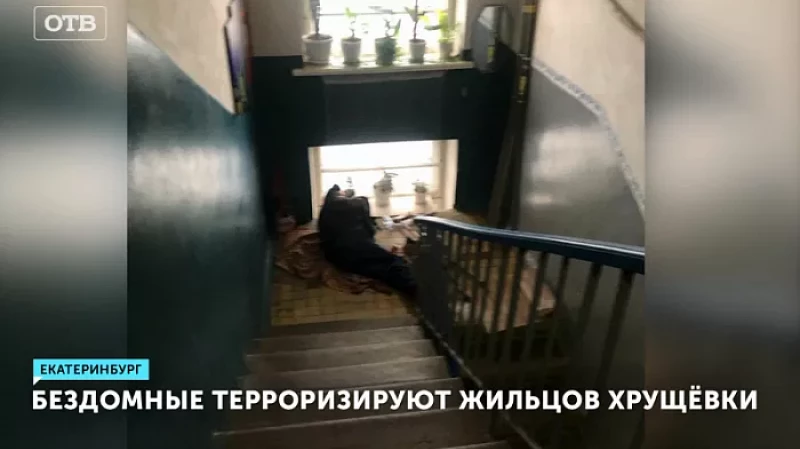 Бездомные терроризируют жильцов хрущёвки
