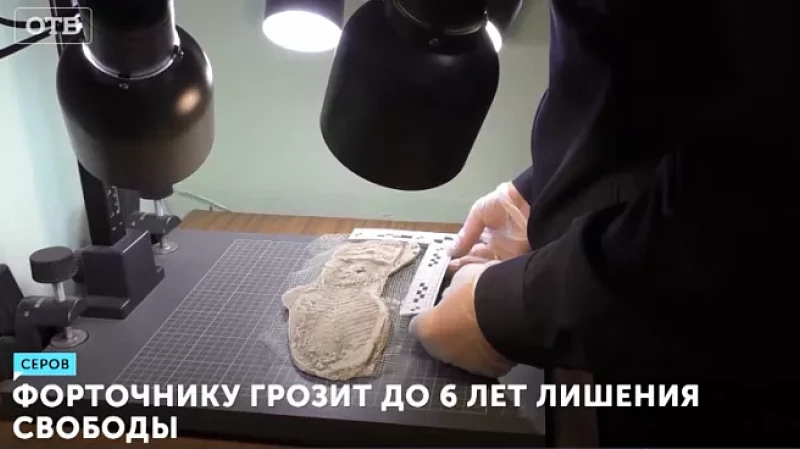 Форточнику грозит до 6 лет лишения свободы