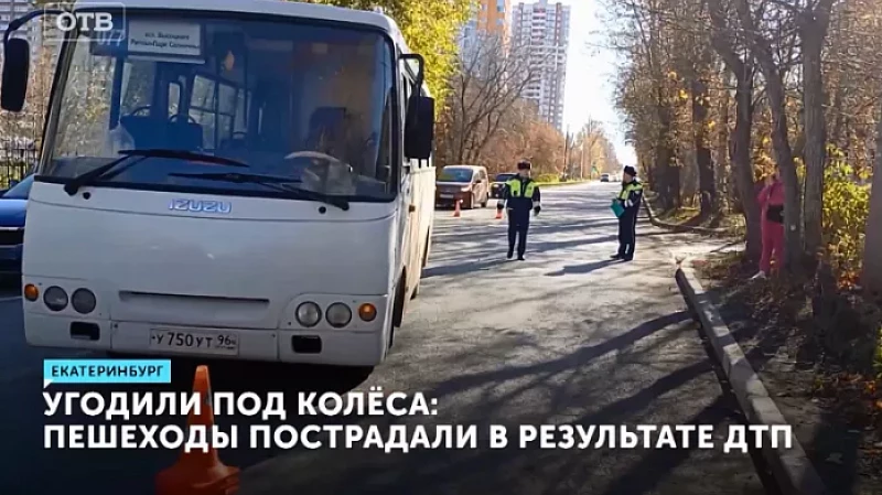 Угодили под колёса: пешеходы пострадали в результате ДТП