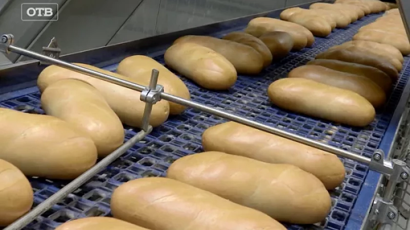 Лучшему классу – лучшая выпечка! Уральские школьники выиграли от проекта «Верный отличник» экскурсию на «СМАК»