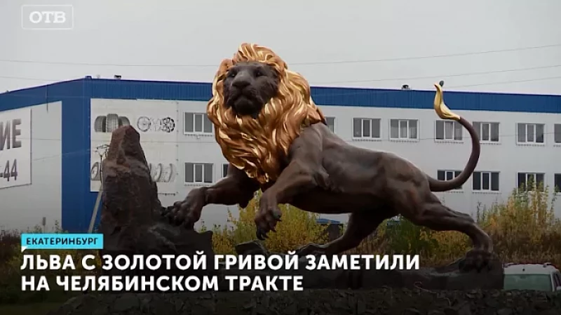 Льва с золотой гривой заметили на Челябинском тракте