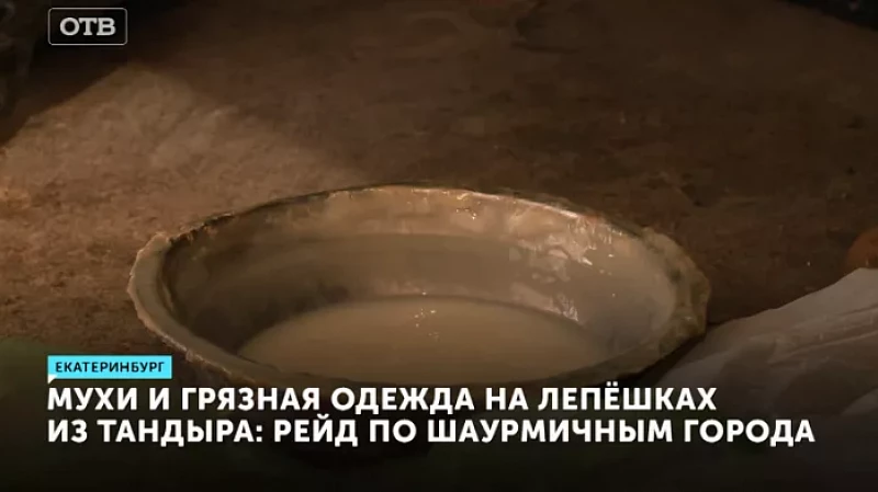 Мухи и грязная одежда на лепёшках из тандыра: рейд по шаурмичным города