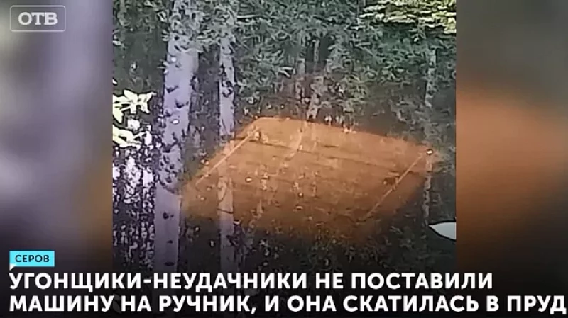 Угонщики-неудачники не поставили машину на ручник, и она скатилась в пруд