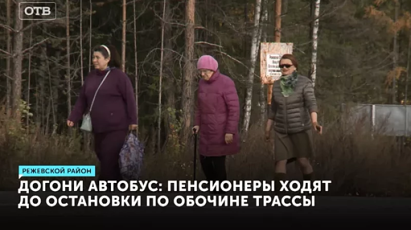 Догони автобус: пенсионеры ходят до остановки по обочине трассы