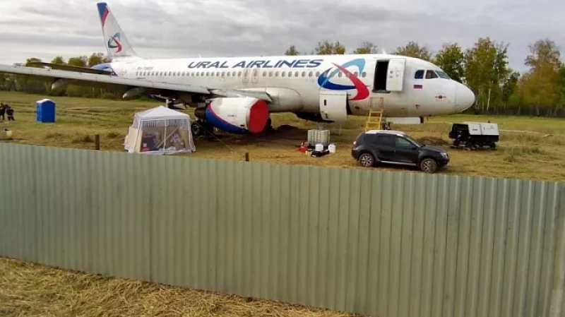 Самолет «Уральских авиалиний» с пшеничного поля будет взлетать без кресел