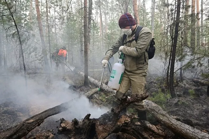 Более 77% пожаров в Свердловской области уже ликвидированы