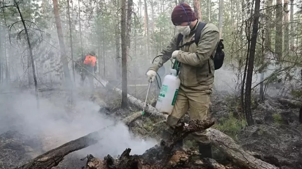 Более 77% пожаров в Свердловской области уже ликвидированы