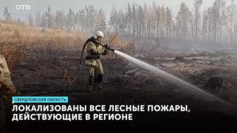 Локализованы все лесные пожары, действующие в регионе