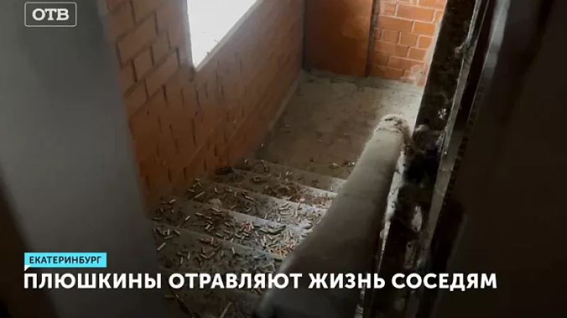 Плюшкины отравляют жизнь соседям