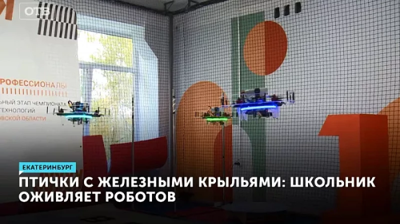 Птички с железными крыльями: школьник оживляет роботов
