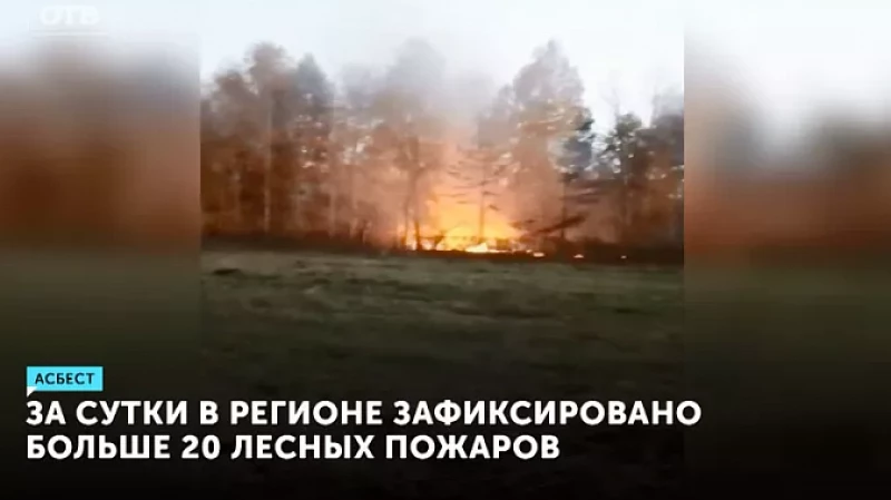 За сутки в регионе зафиксировано больше 20 лесных пожаров