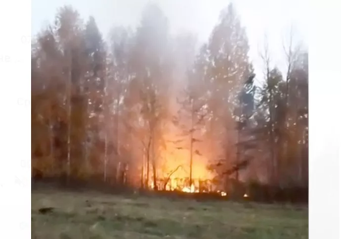 В Свердловской области под Асбестом горит лес