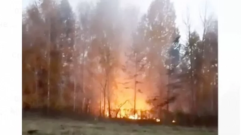 В Свердловской области под Асбестом горит лес