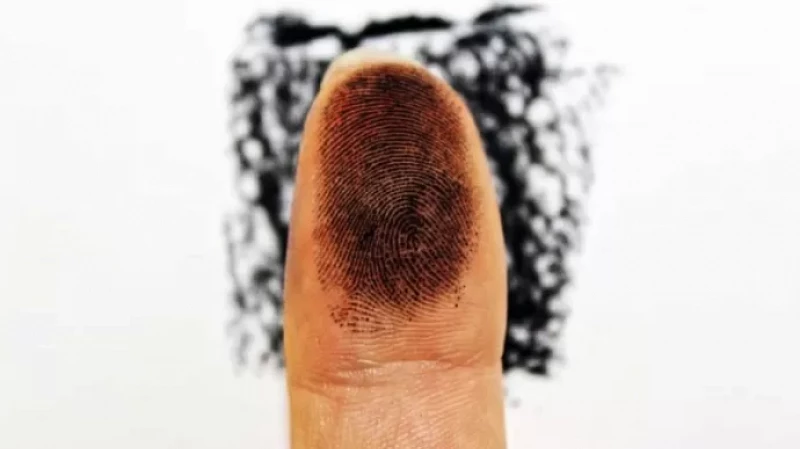 Менее 1% россиян оформили отказ от сдачи биоометрии