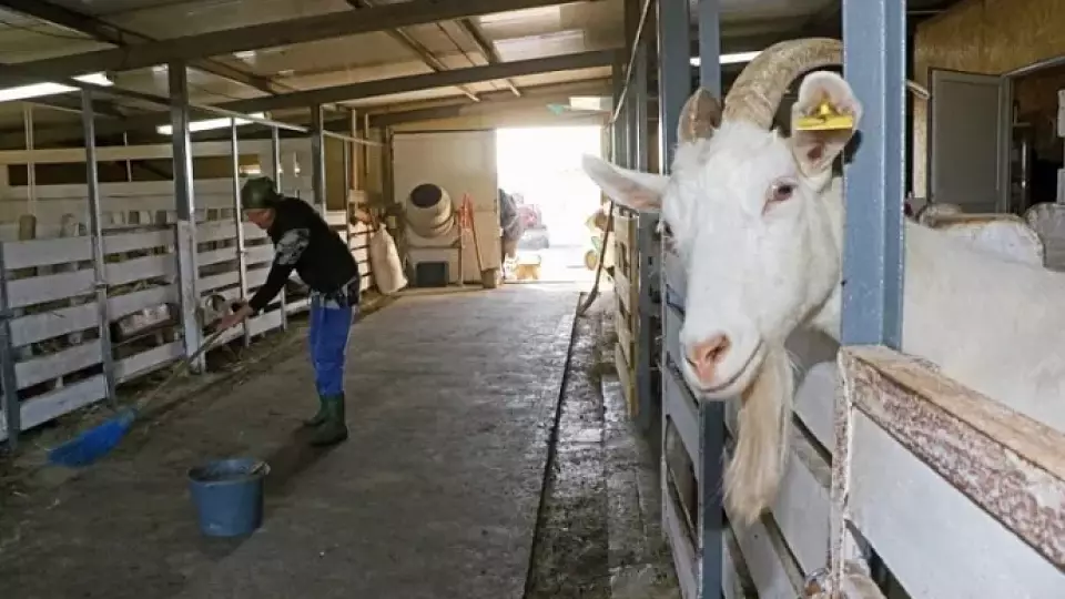 Уральцы серебряного возраста открывают фермерские стартапы