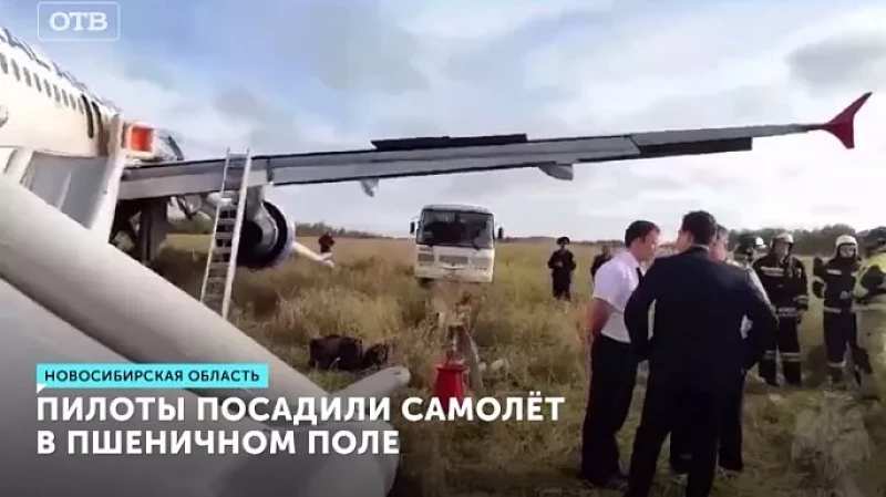 Пилоты посадили самолёт в пшеничном поле