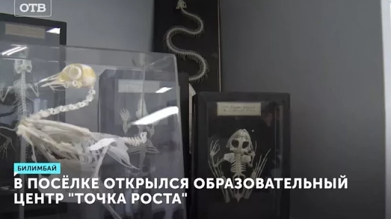 В посёлке открылся образовательный центр «Точка роста»