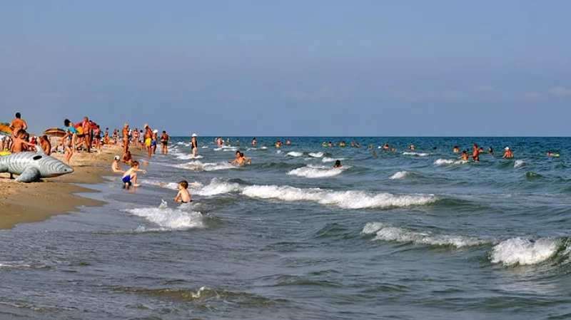 Девочка из Екатеринбурга, которая впала в кому после купания на Черном море, скончалась