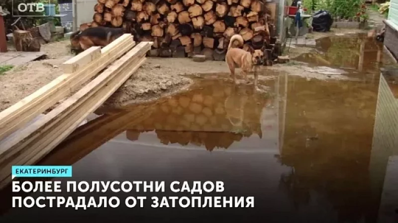 Более полусотни садов пострадало от затопления