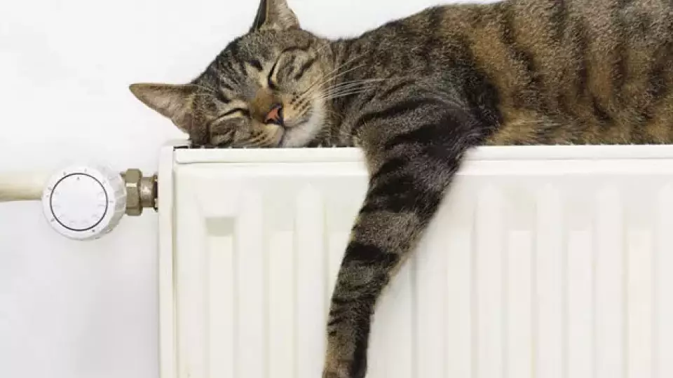 В Екатеринбурге еще недостаточно холодно для начала отопительного сезона