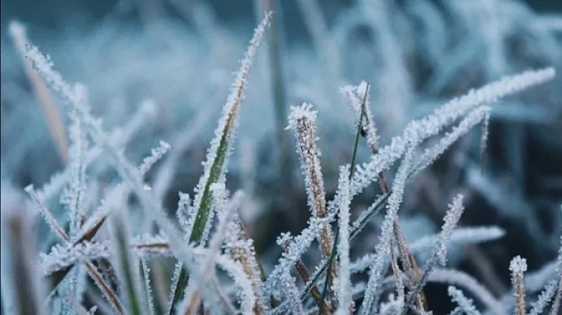 На Урале впервые за два месяца температура воздуха опустилась ниже +10 градусов