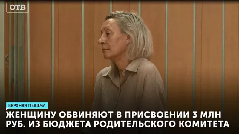 Женщину обвиняют в присвоении 3 млн руб. из бюджета родительского комитета