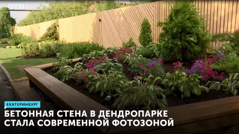 Бетонная стена в Дендропарке стала современной фотозоной